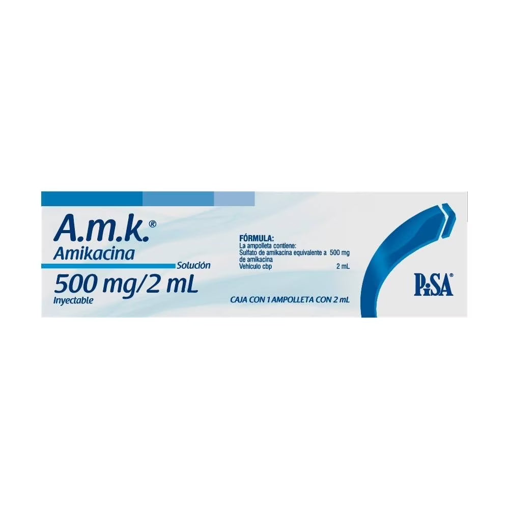 AMK AMIKACINA 500 MG / 2 ML INY    (***)